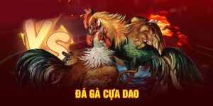 đá gà cựa dao j88