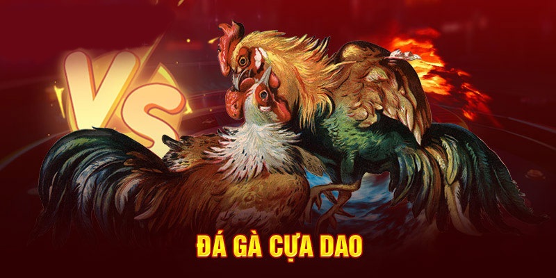 đá gà cựa dao j88