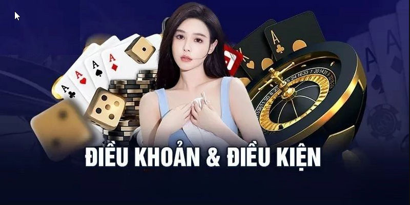 Giới thiệu tổng quan về điều khoản điều kiện