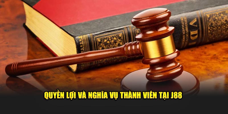 Nghĩa vụ và trách nhiệm của các bên